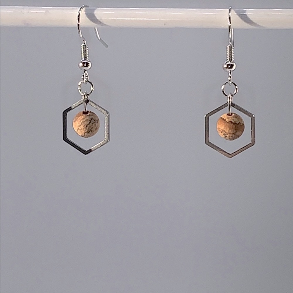 21105 Picture jasper earrings